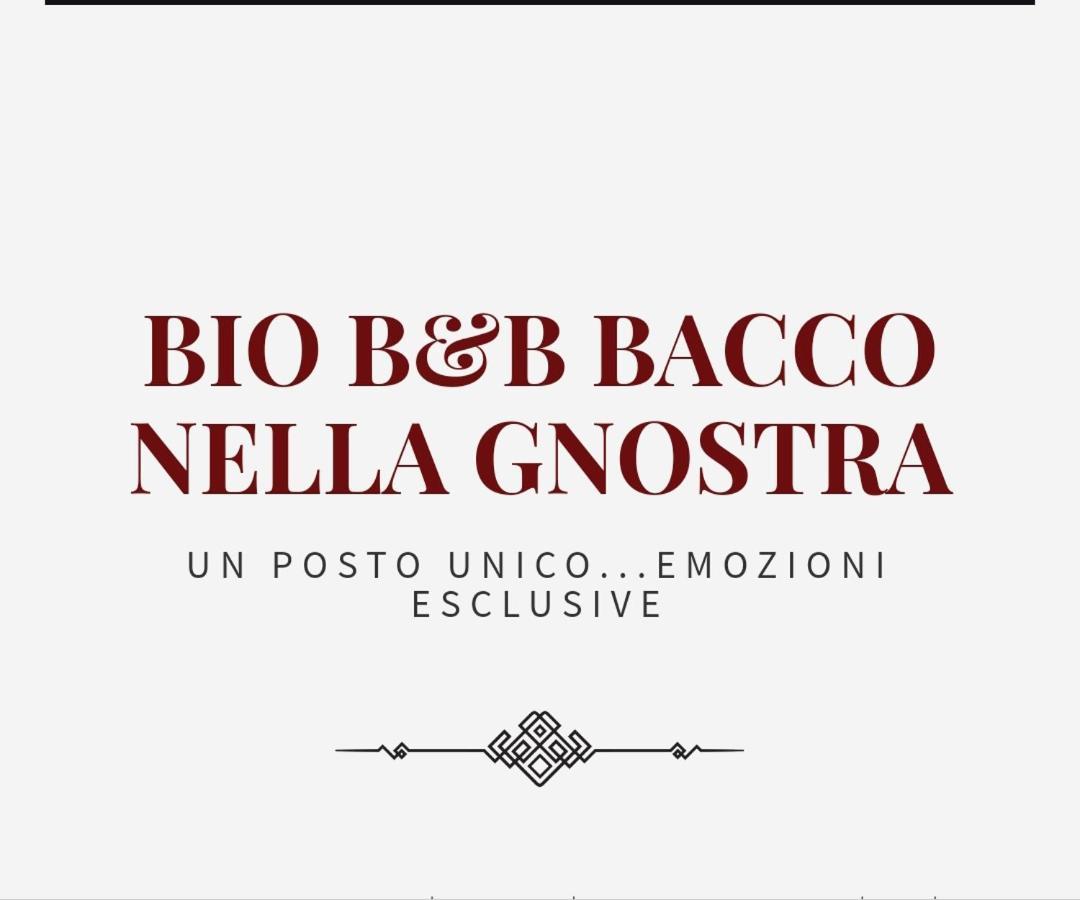 Bio B&B Bacco Nella Gnostra Altamura Exteriér fotografie